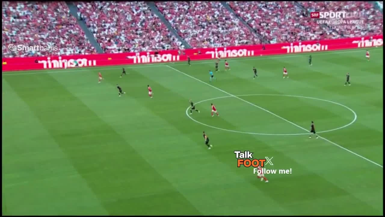 zaslepka skrotu video