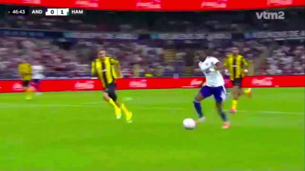 zaslepka skrotu video