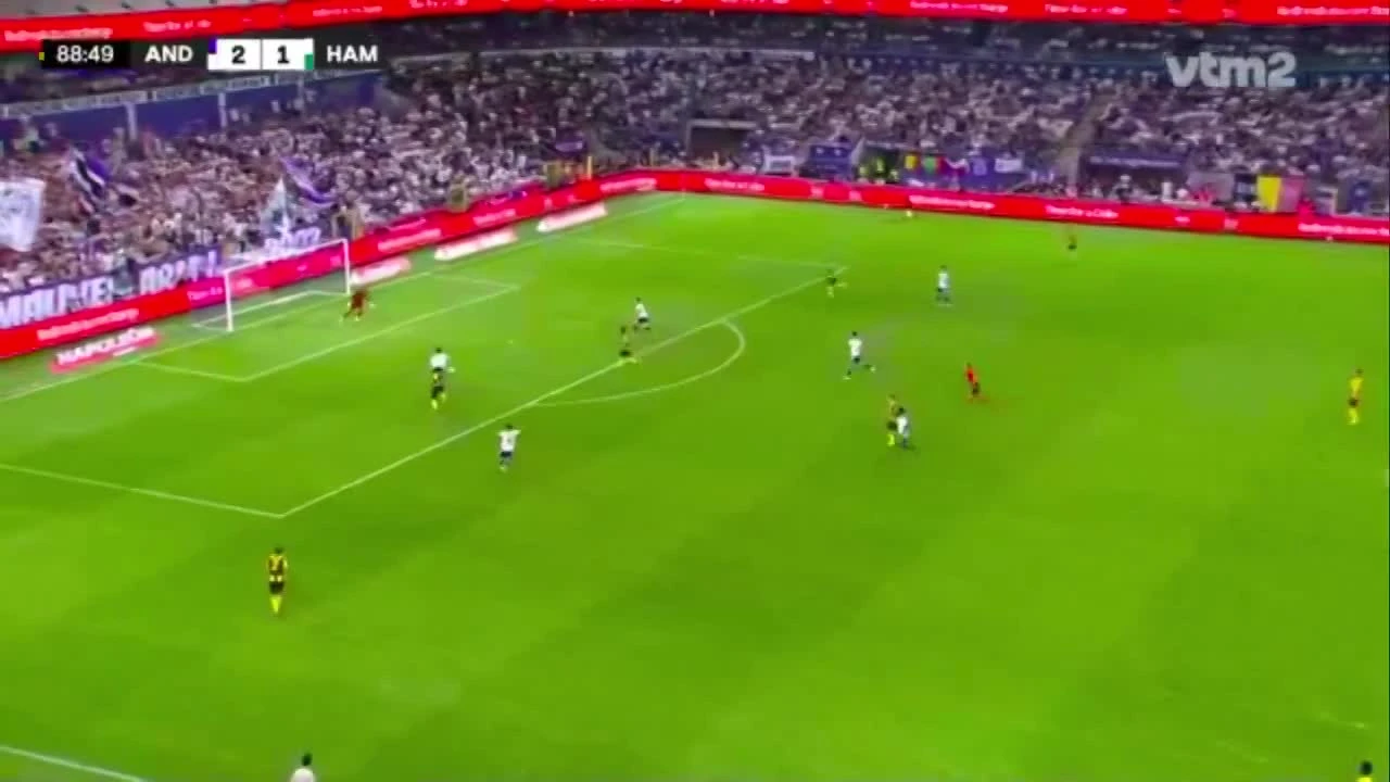 zaslepka skrotu video