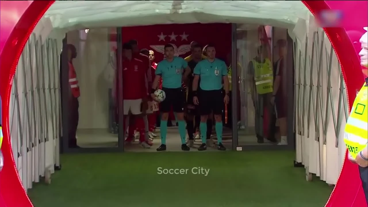 zaslepka skrotu video