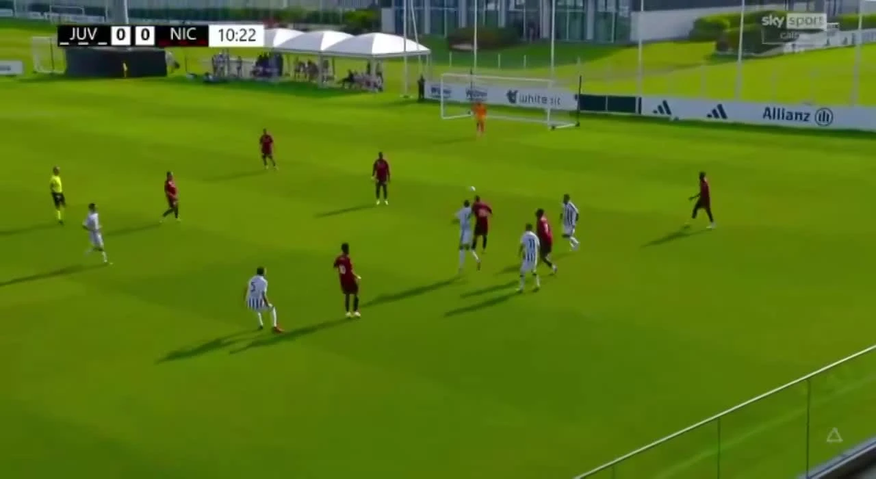 zaslepka skrotu video