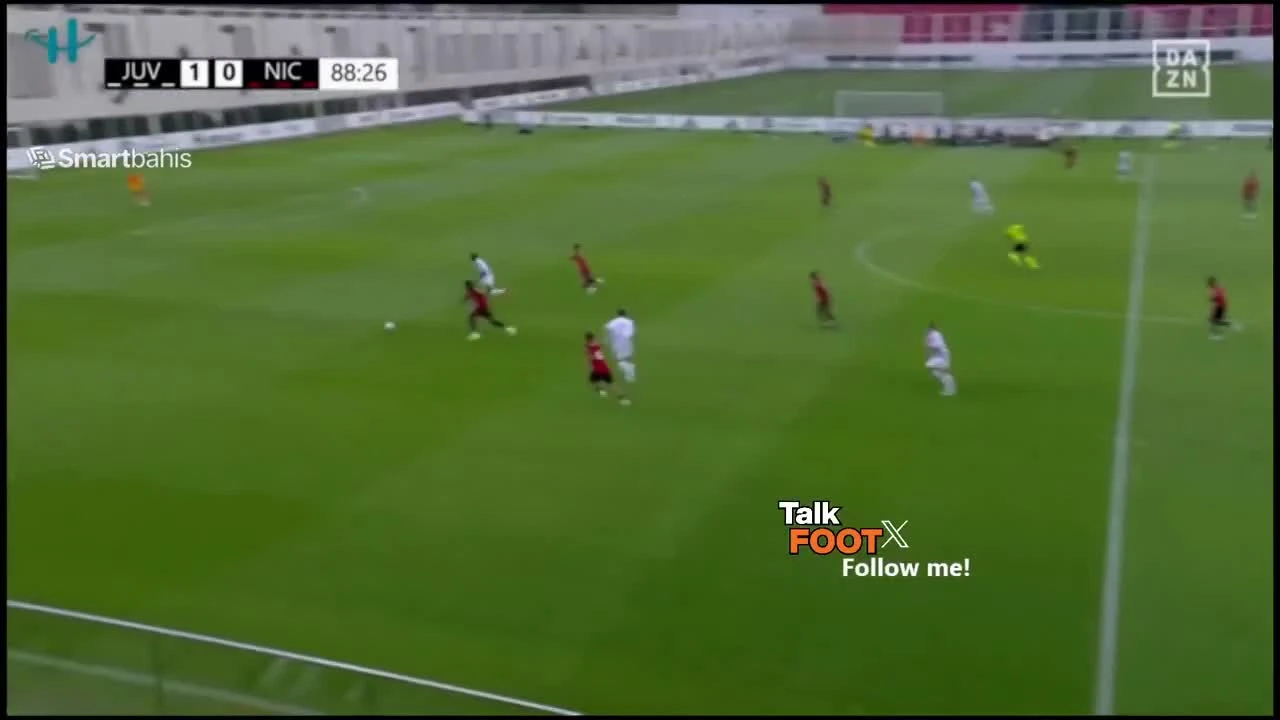 zaslepka skrotu video