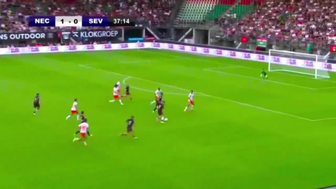 zaslepka skrotu video