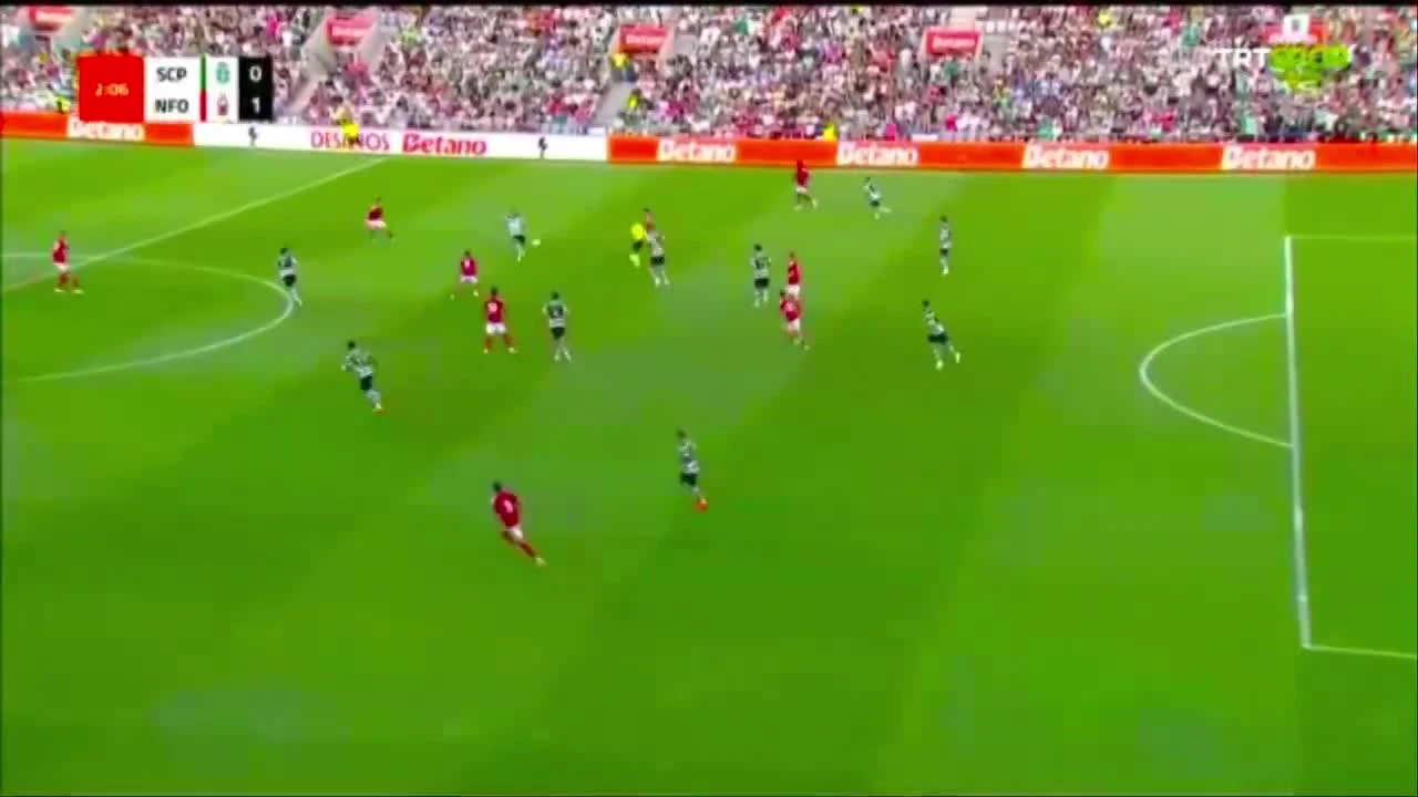 zaslepka skrotu video
