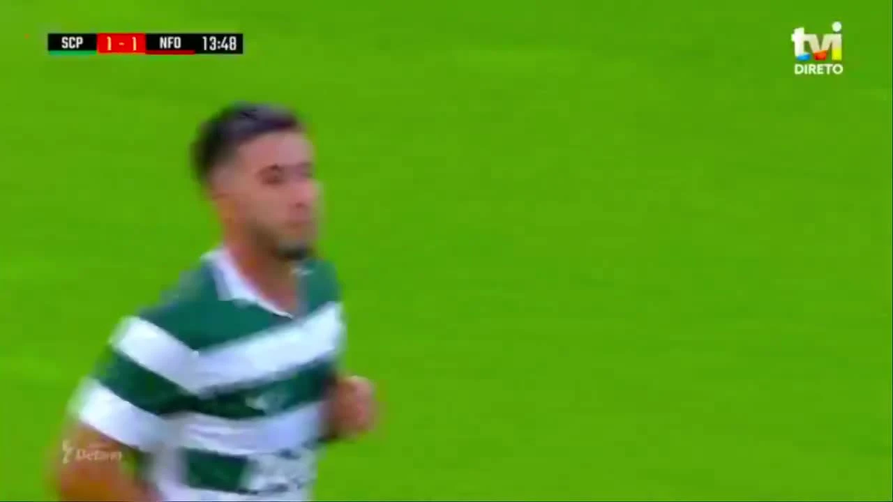 zaslepka skrotu video