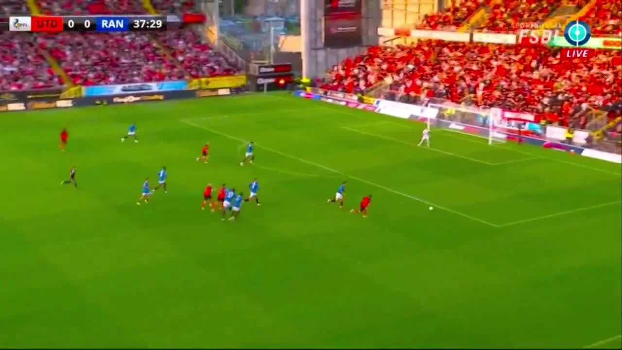 zaslepka skrotu video