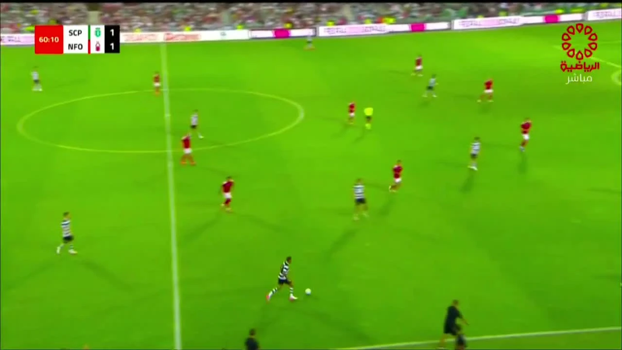 zaslepka skrotu video