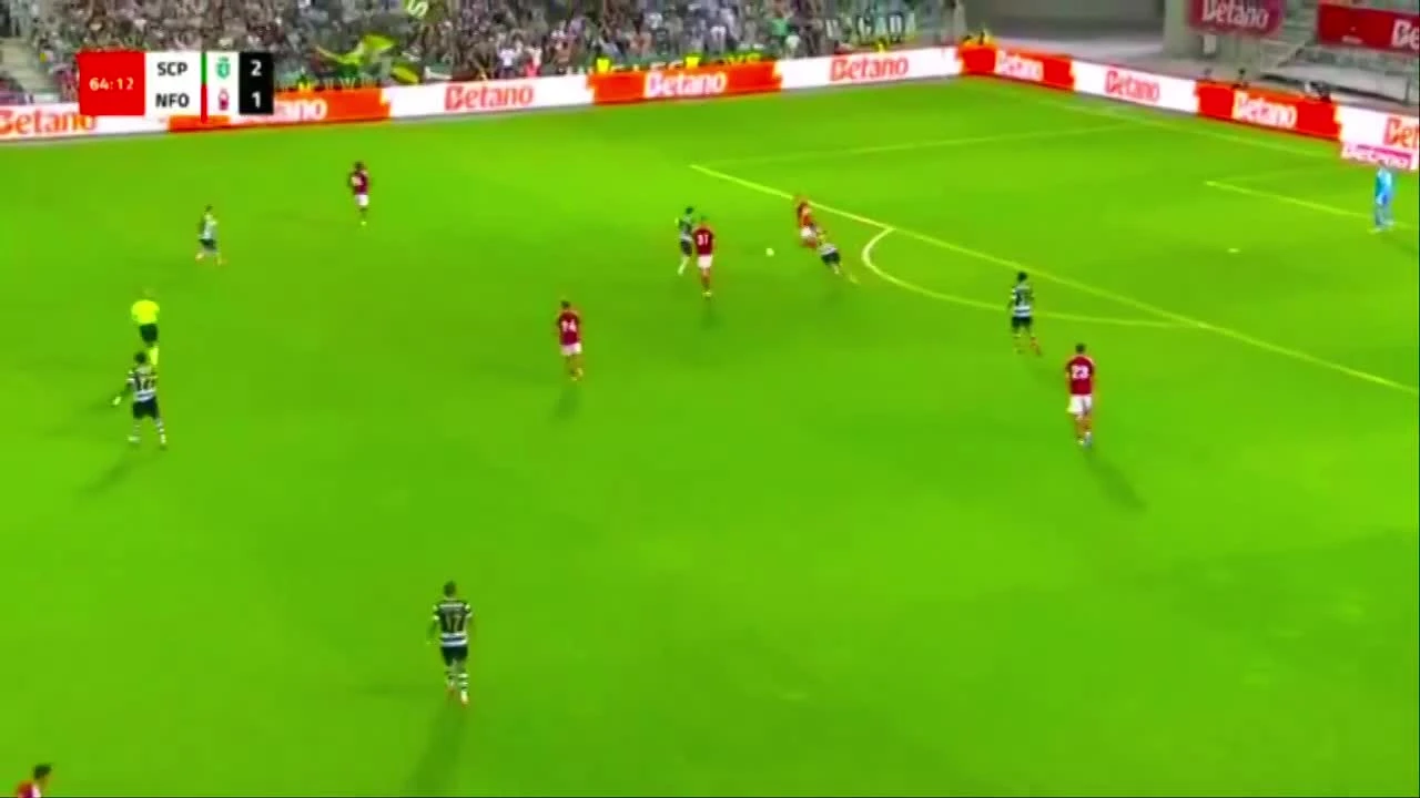 zaslepka skrotu video