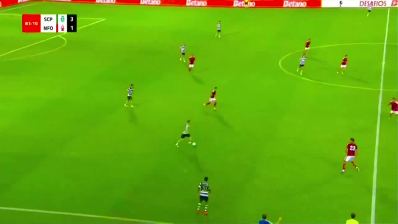 zaslepka skrotu video
