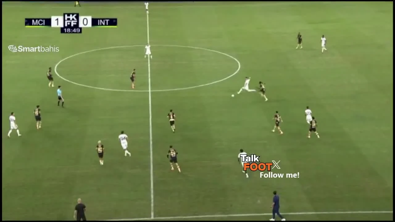 zaslepka skrotu video