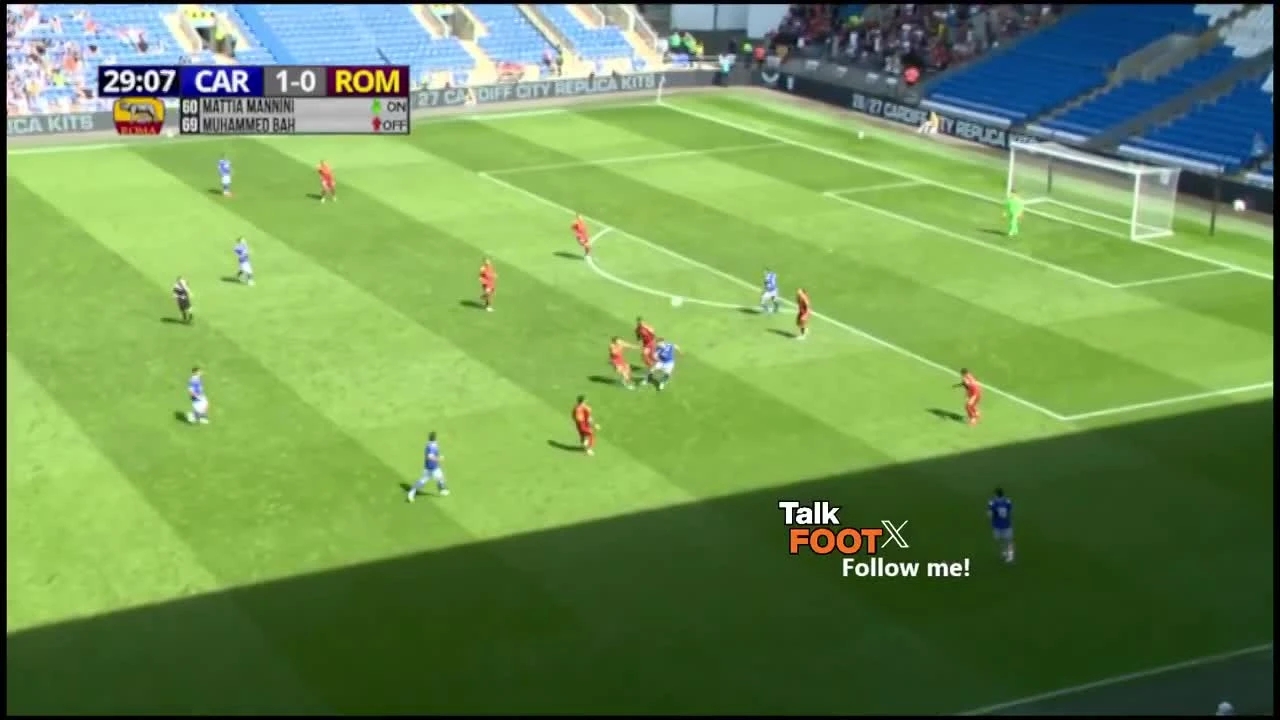 zaslepka skrotu video