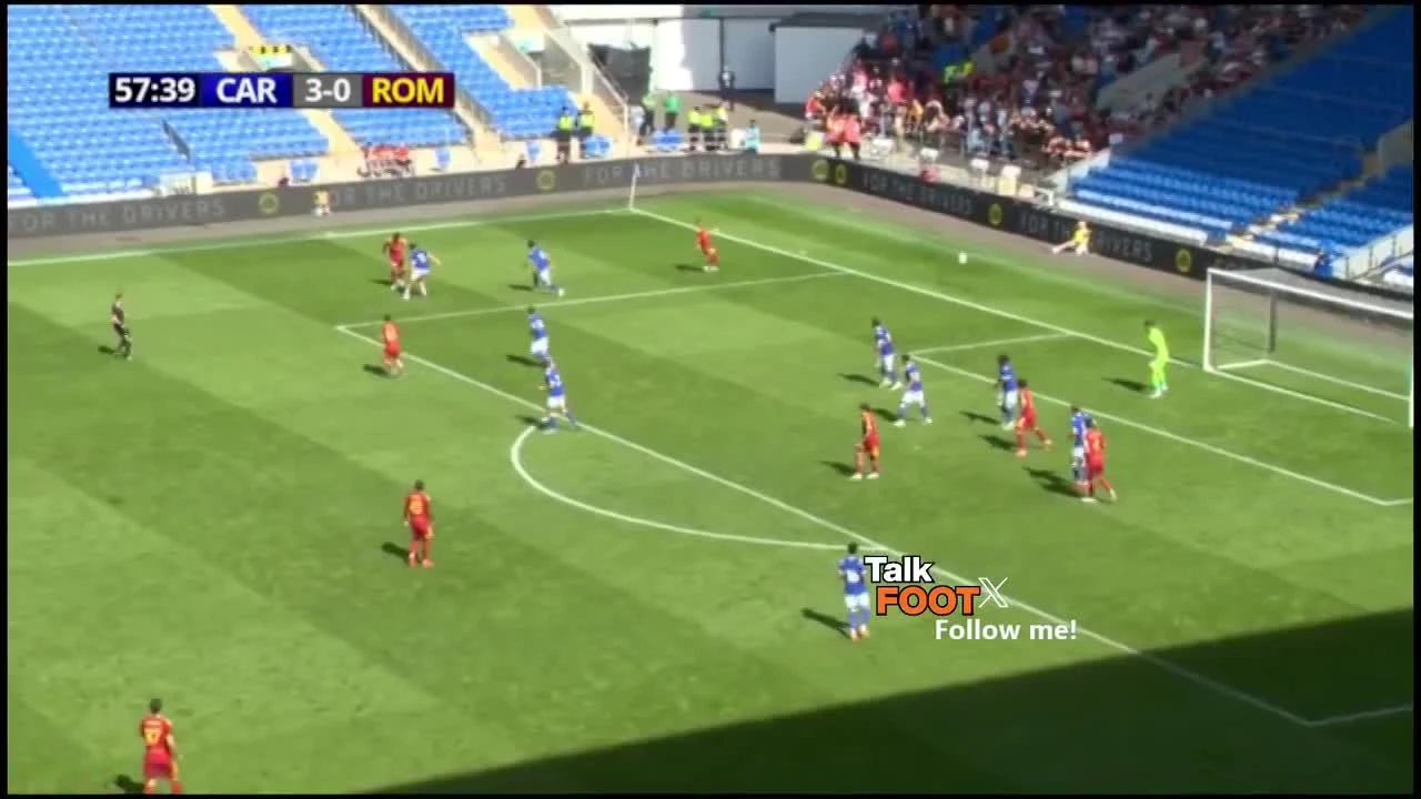 zaslepka skrotu video