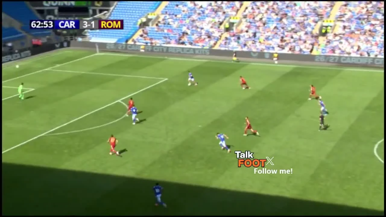 zaslepka skrotu video
