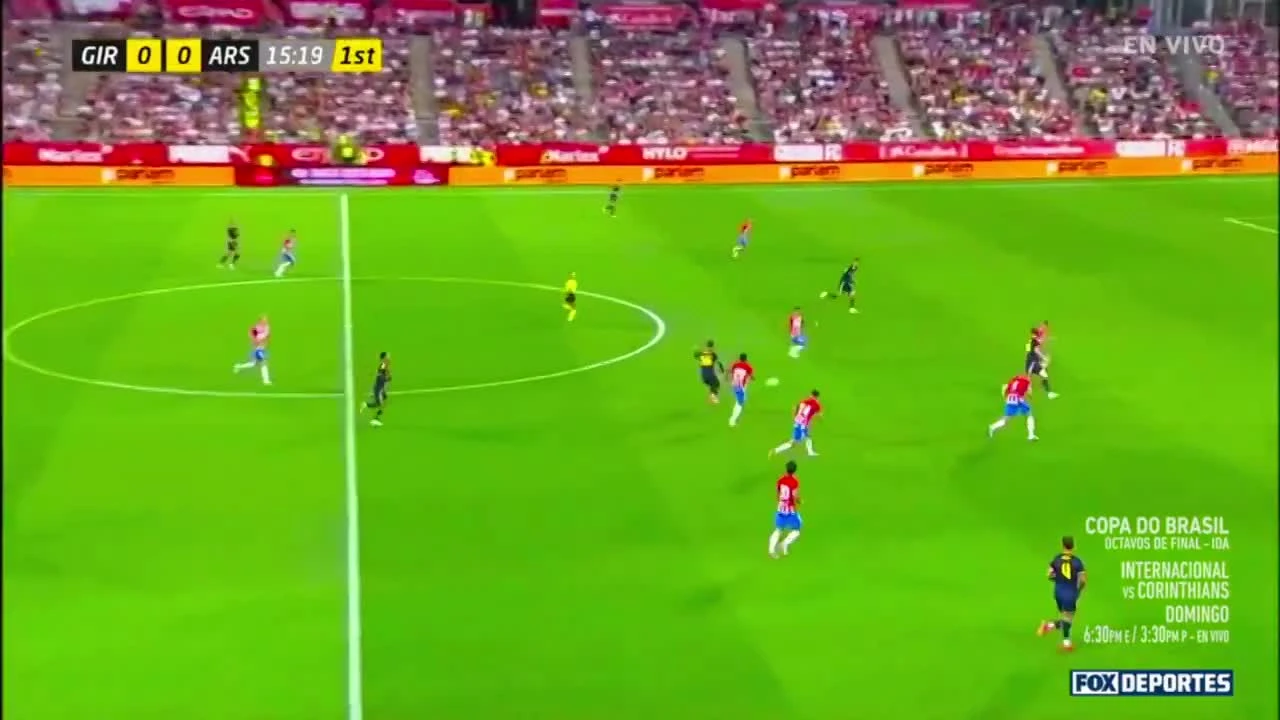 zaslepka skrotu video