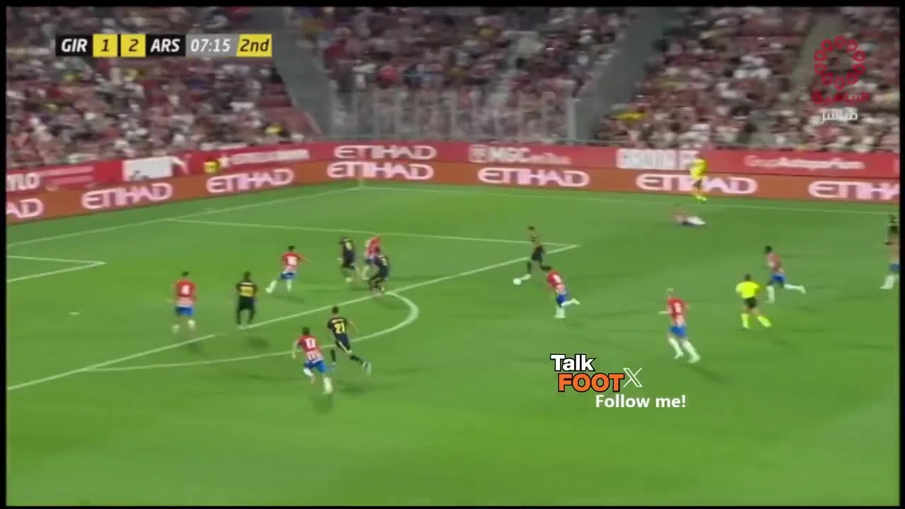 zaslepka skrotu video