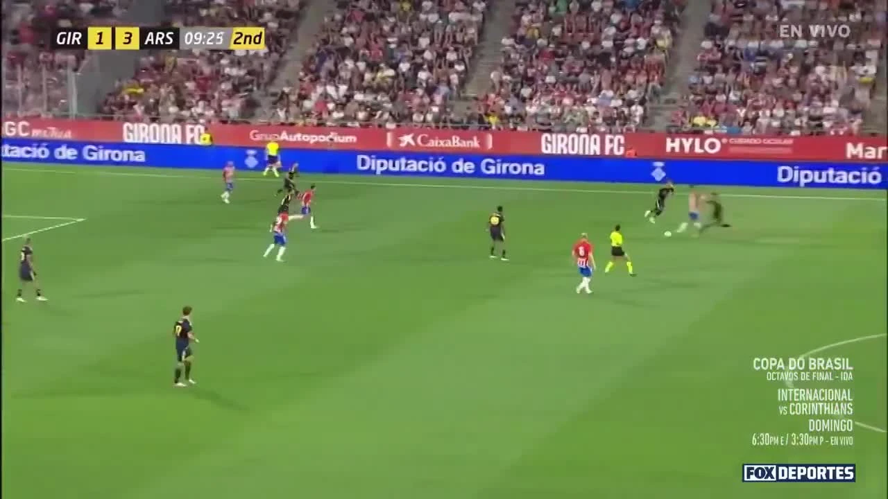 zaslepka skrotu video