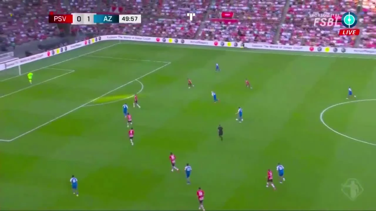 zaslepka skrotu video