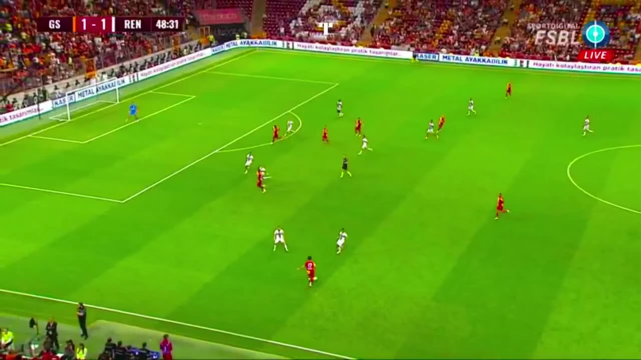 zaslepka skrotu video