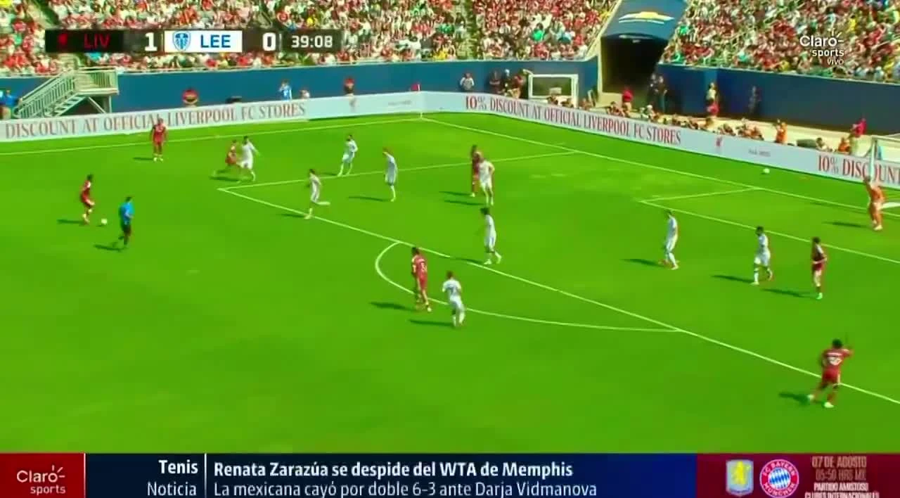 zaslepka skrotu video