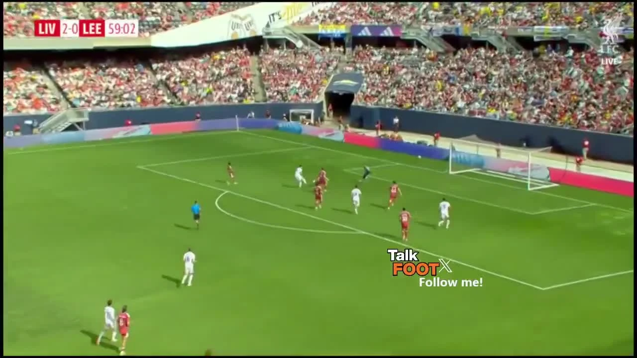 zaslepka skrotu video