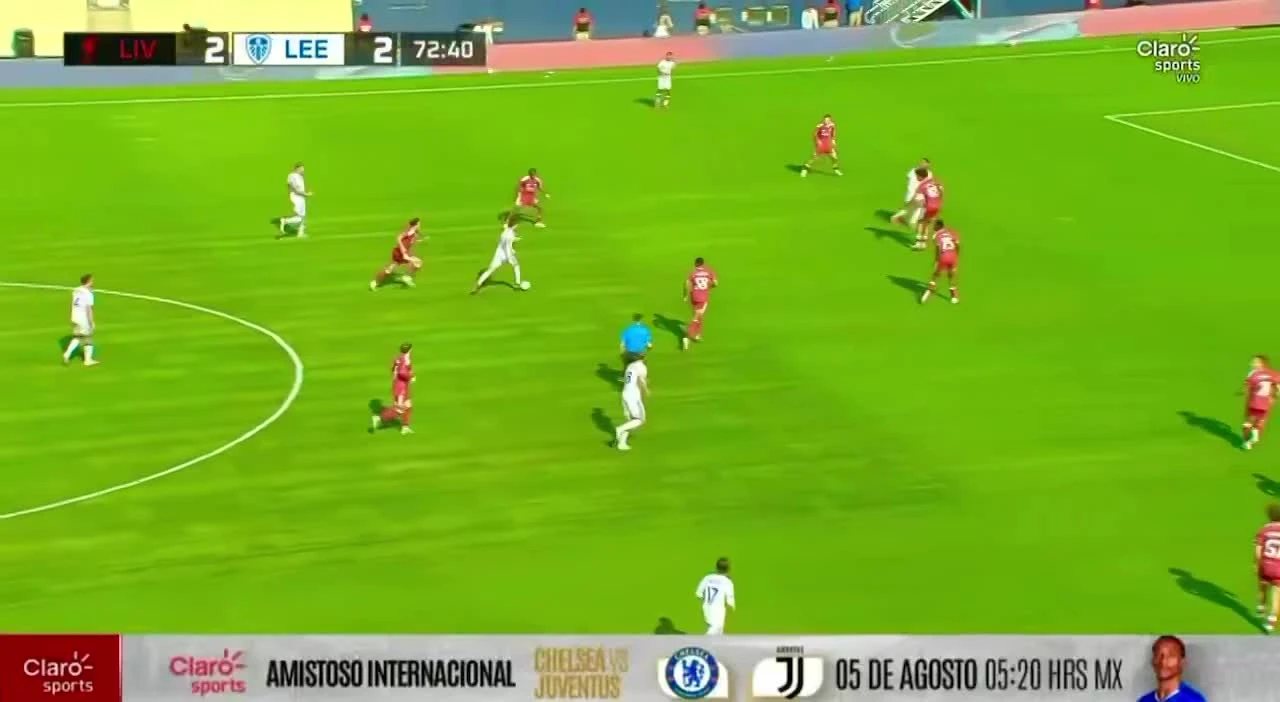zaslepka skrotu video
