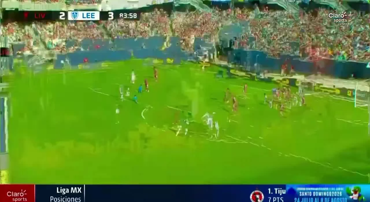 zaslepka skrotu video
