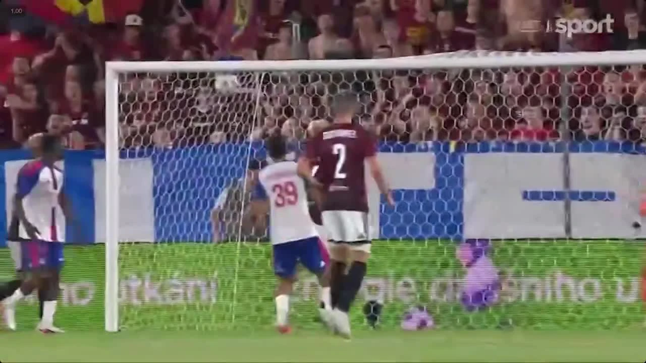 zaslepka skrotu video