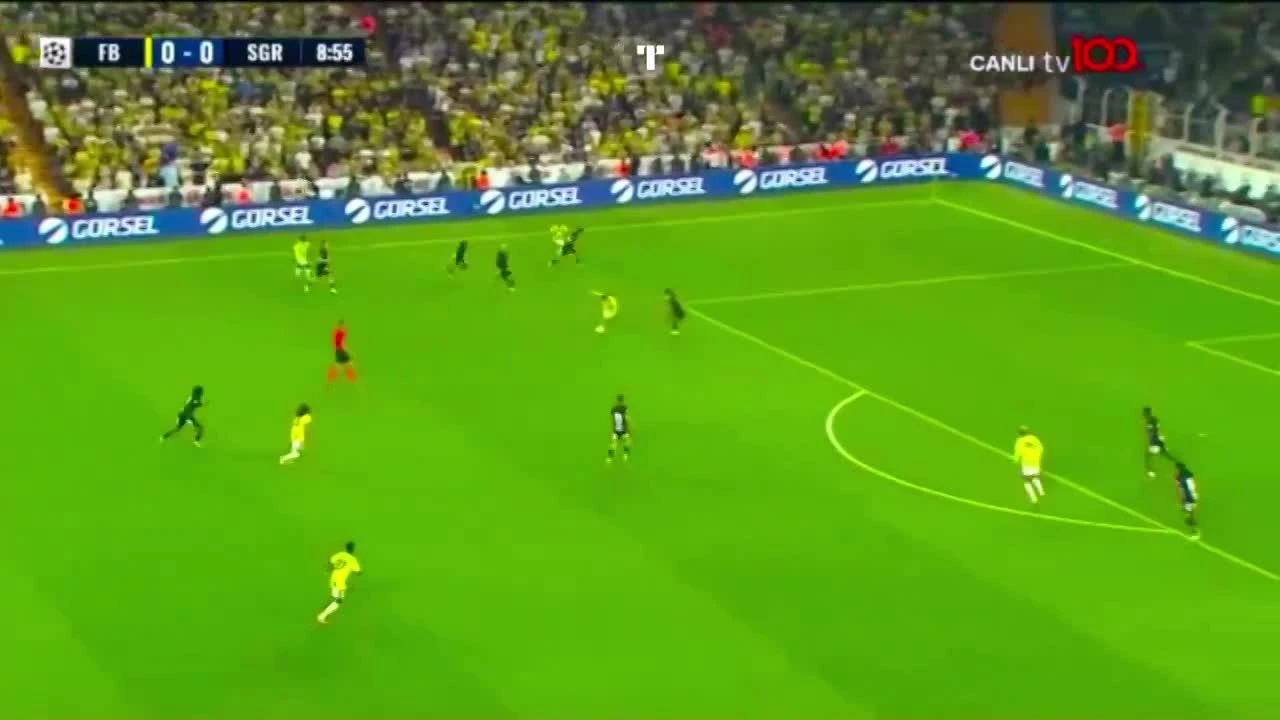 zaslepka skrotu video