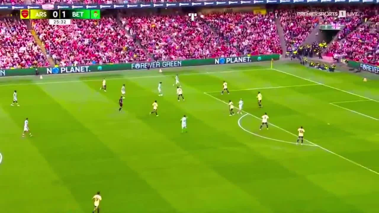 zaslepka skrotu video
