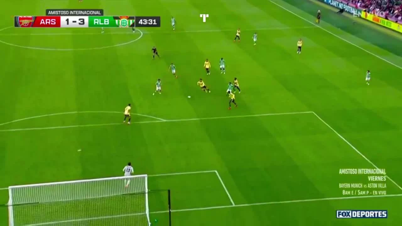 zaslepka skrotu video
