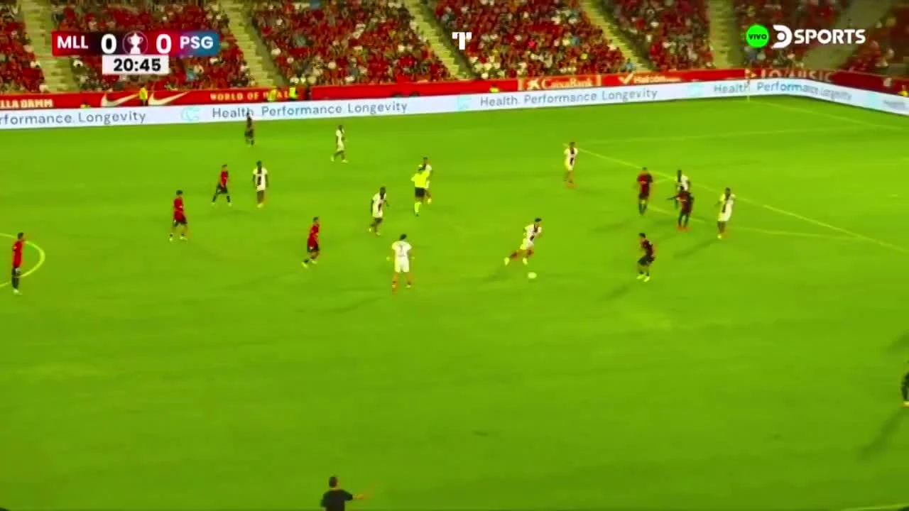 zaslepka skrotu video