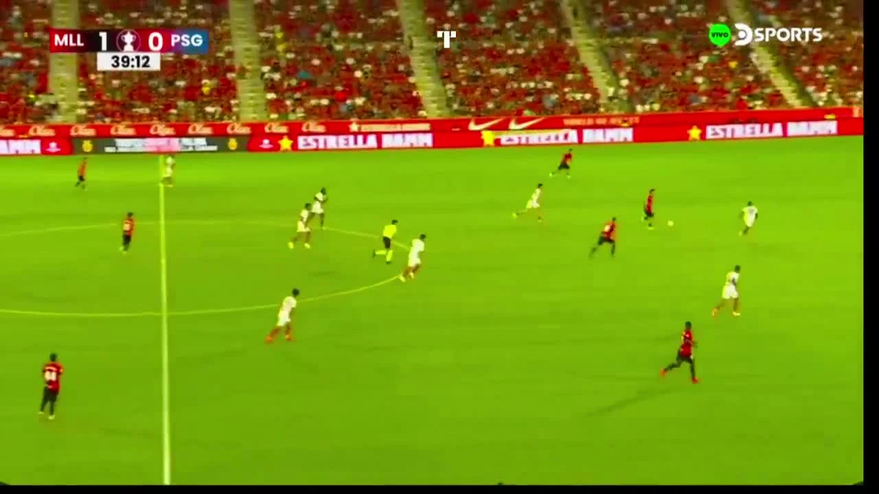 zaslepka skrotu video