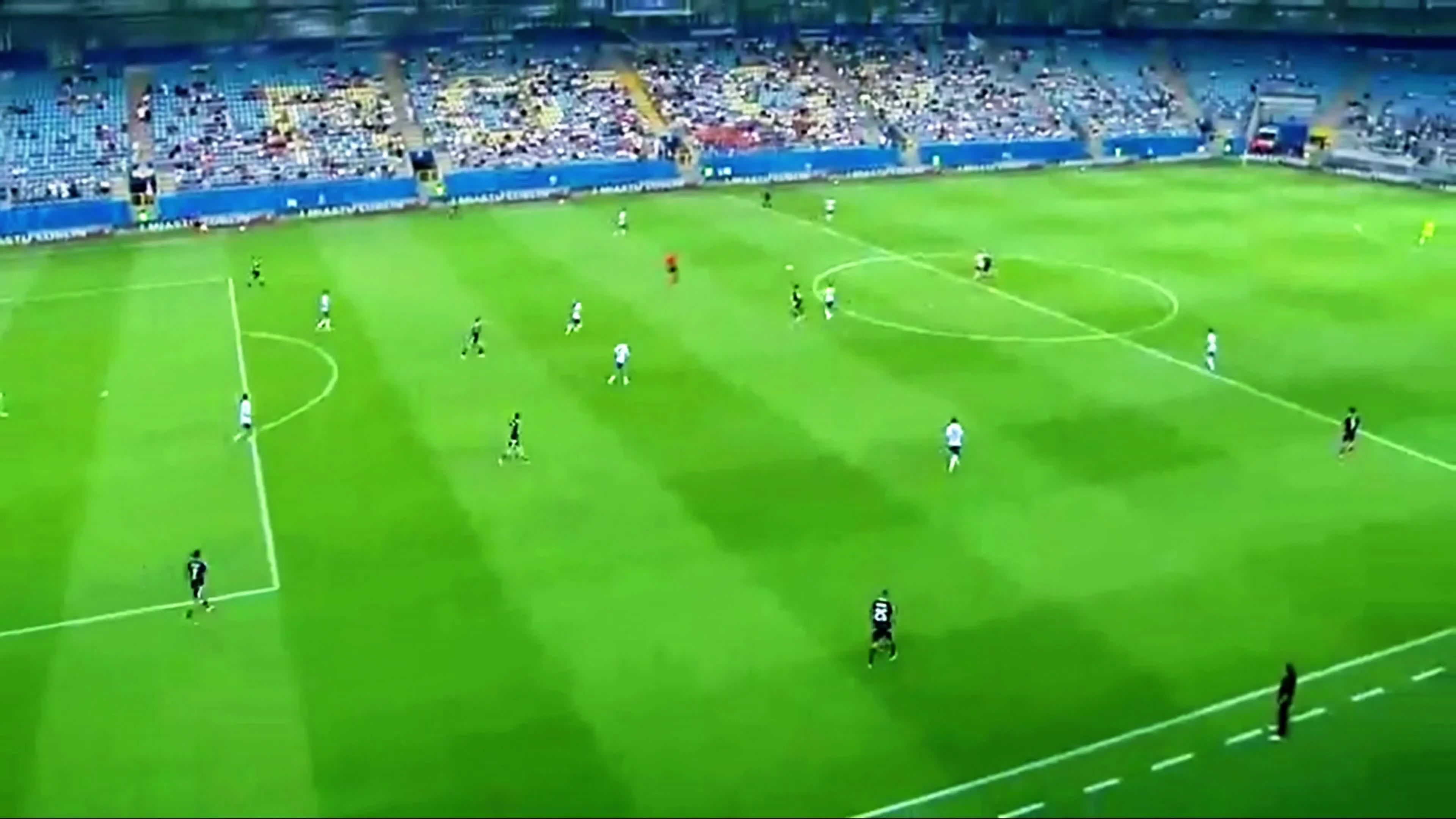 zaslepka skrotu video