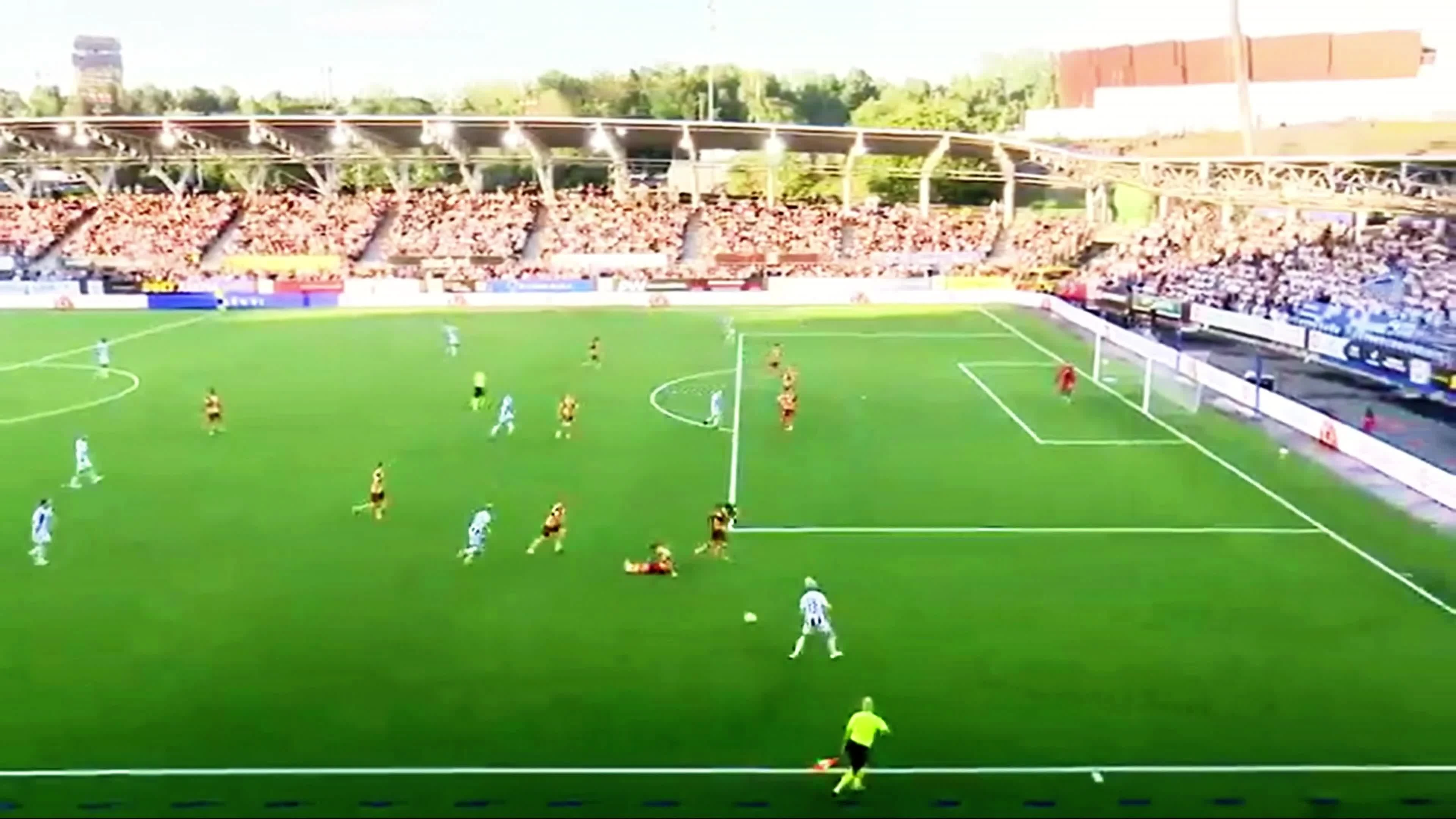 zaslepka skrotu video