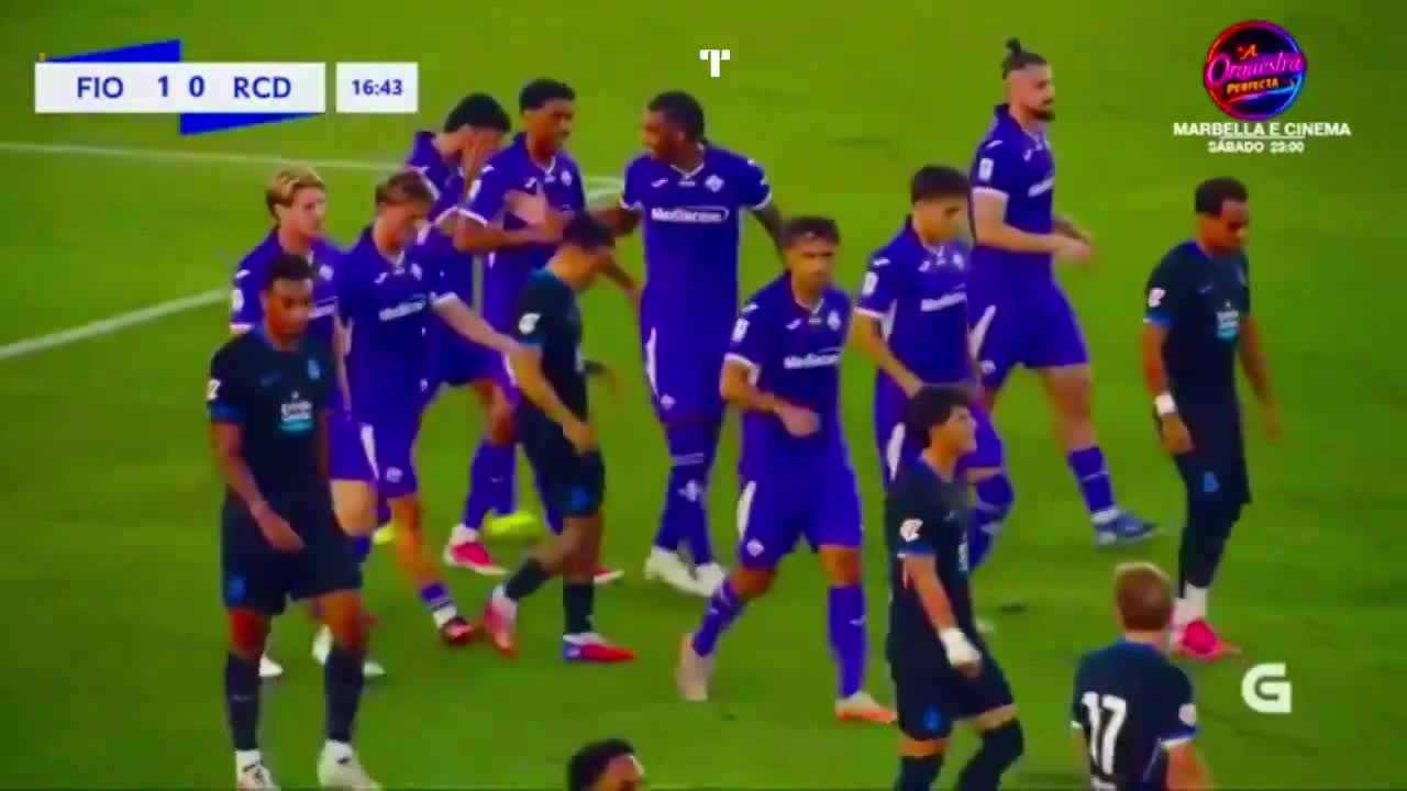 zaslepka skrotu video