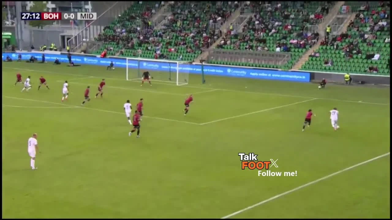 zaslepka skrotu video