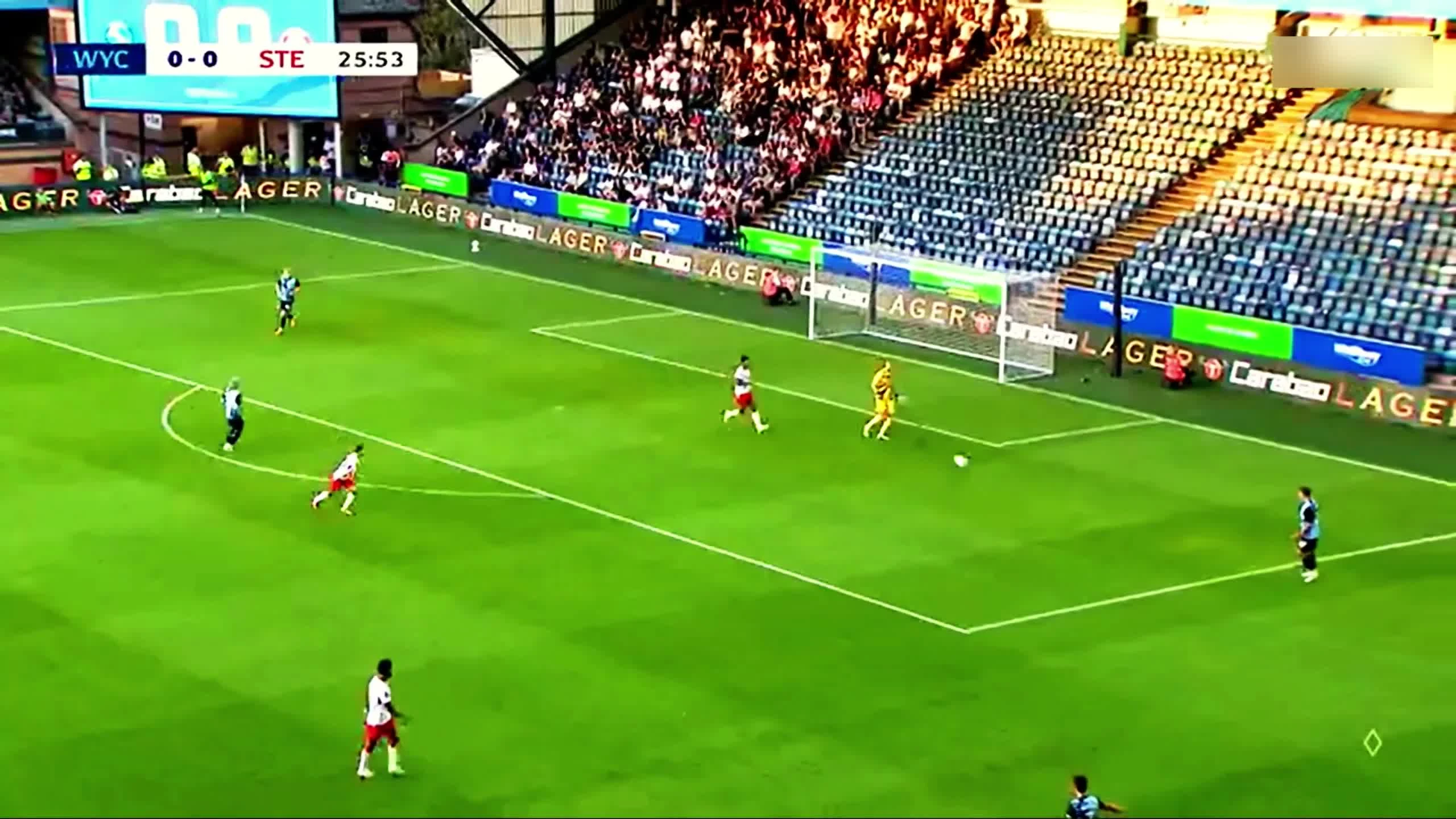 zaslepka skrotu video