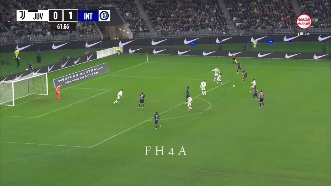zaslepka skrotu video