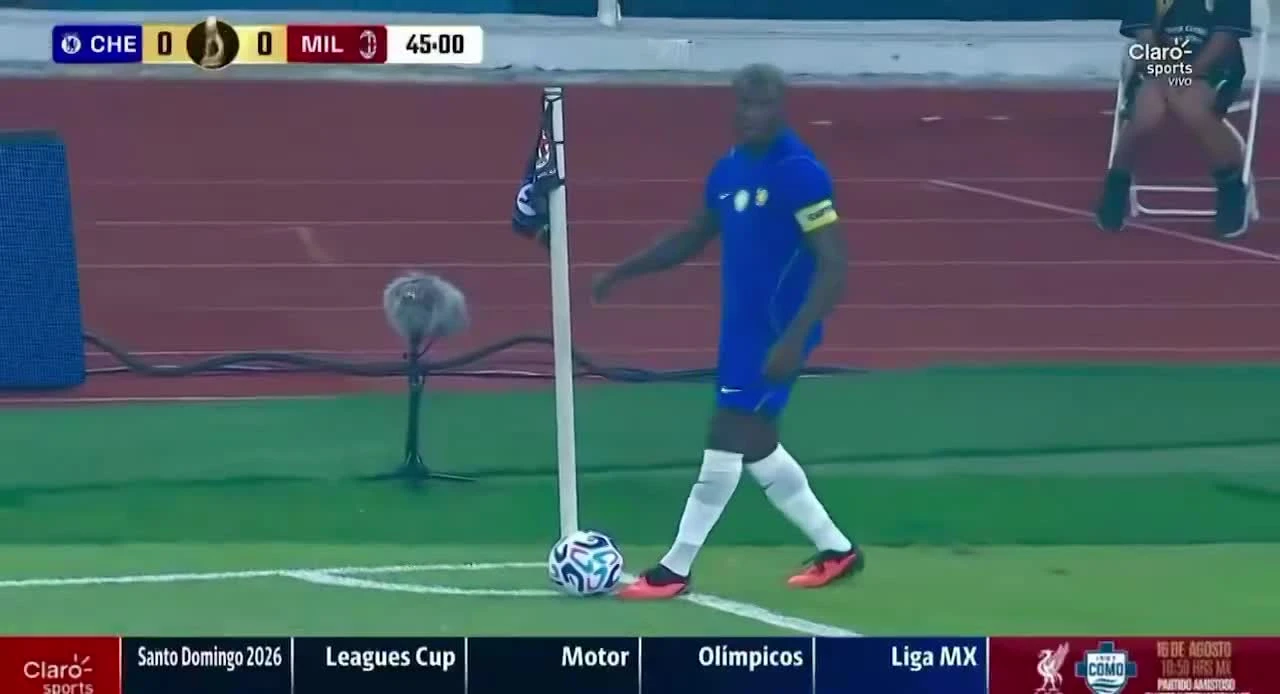 zaslepka skrotu video