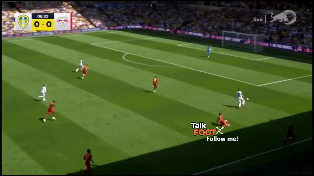 zaslepka skrotu video