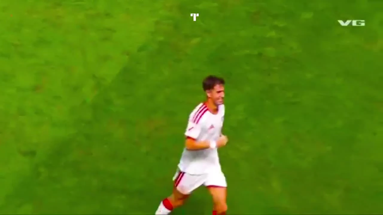 zaslepka skrotu video