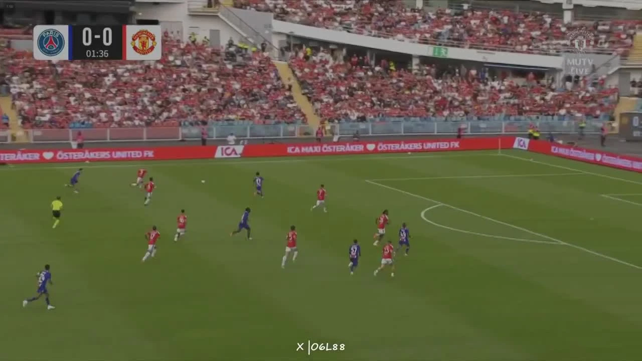 zaslepka skrotu video