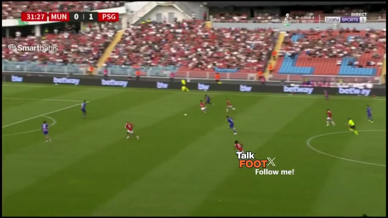 zaslepka skrotu video