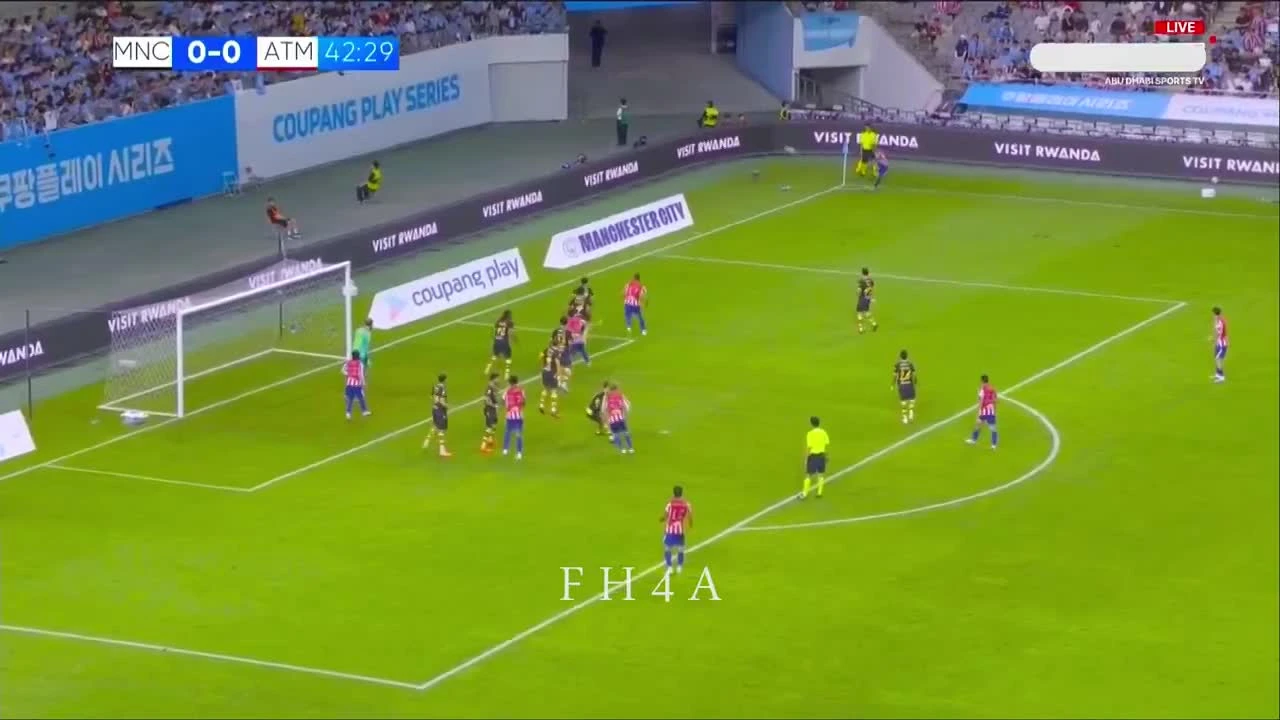 zaslepka skrotu video