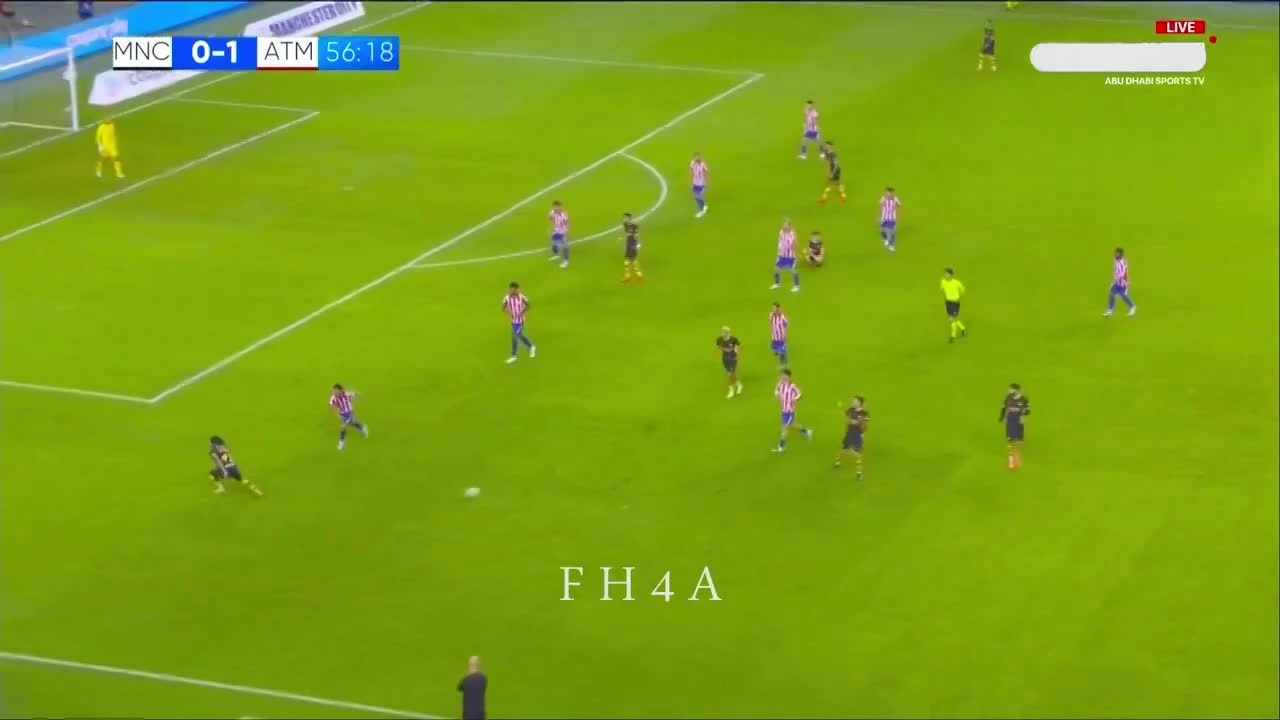 zaslepka skrotu video