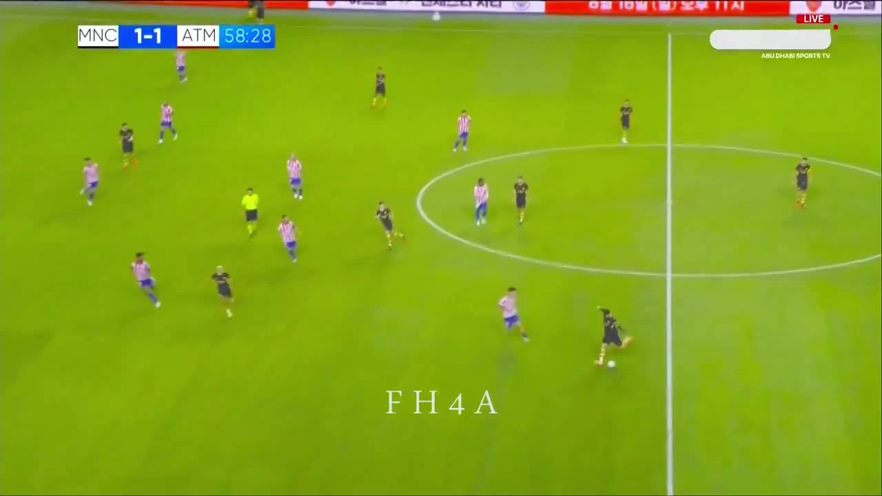 zaslepka skrotu video