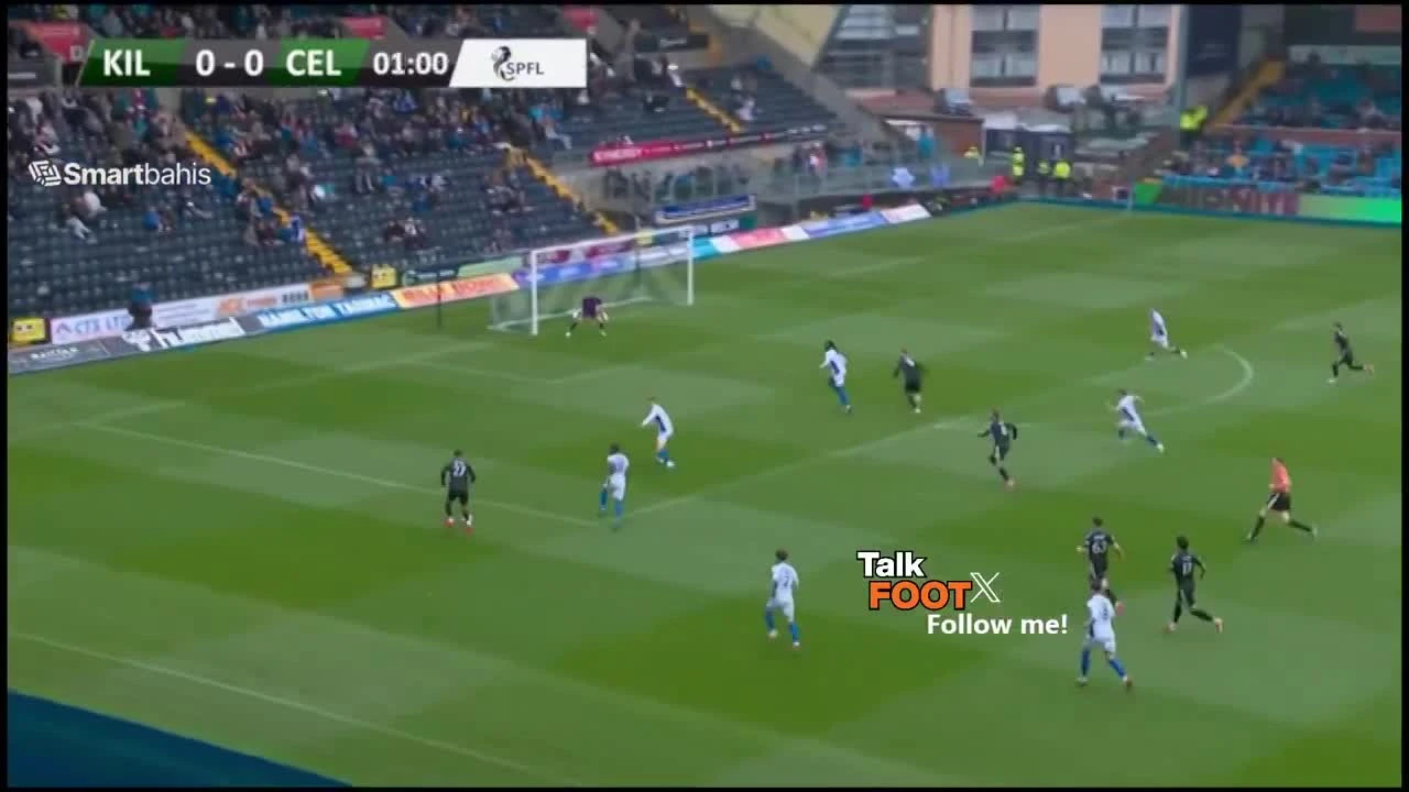 zaslepka skrotu video