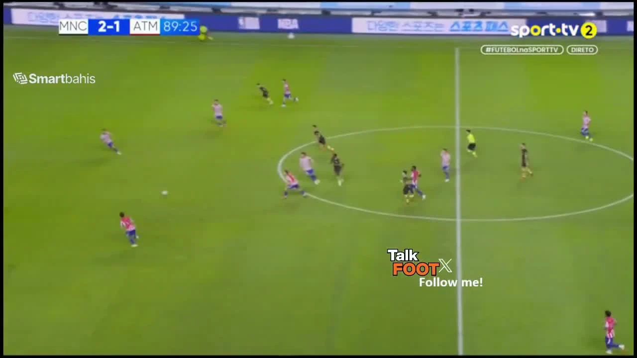 zaslepka skrotu video
