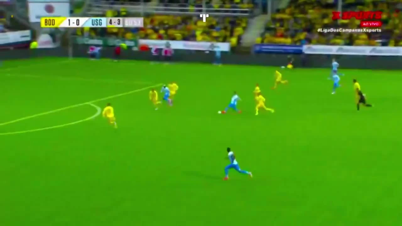 zaslepka skrotu video