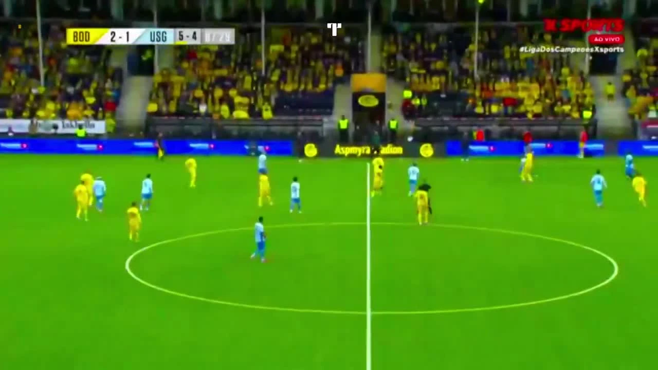 zaslepka skrotu video